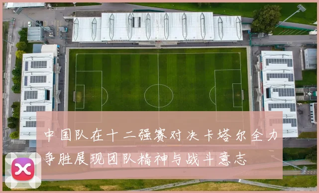 中国队在十二强赛对决卡塔尔全力争胜展现团队精神与战斗意志